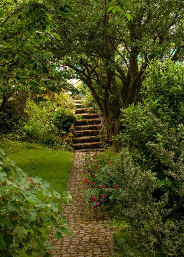 Une Suite au jardin Hyenville Exterior foto